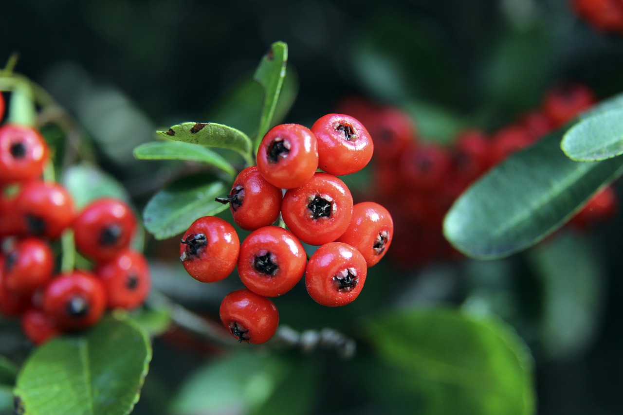 他们不仅负 他们不仅负