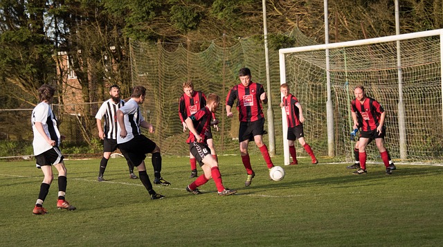 力项目中 力项目中